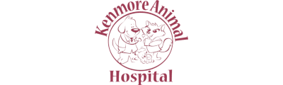 Kenmore Animal Hospital