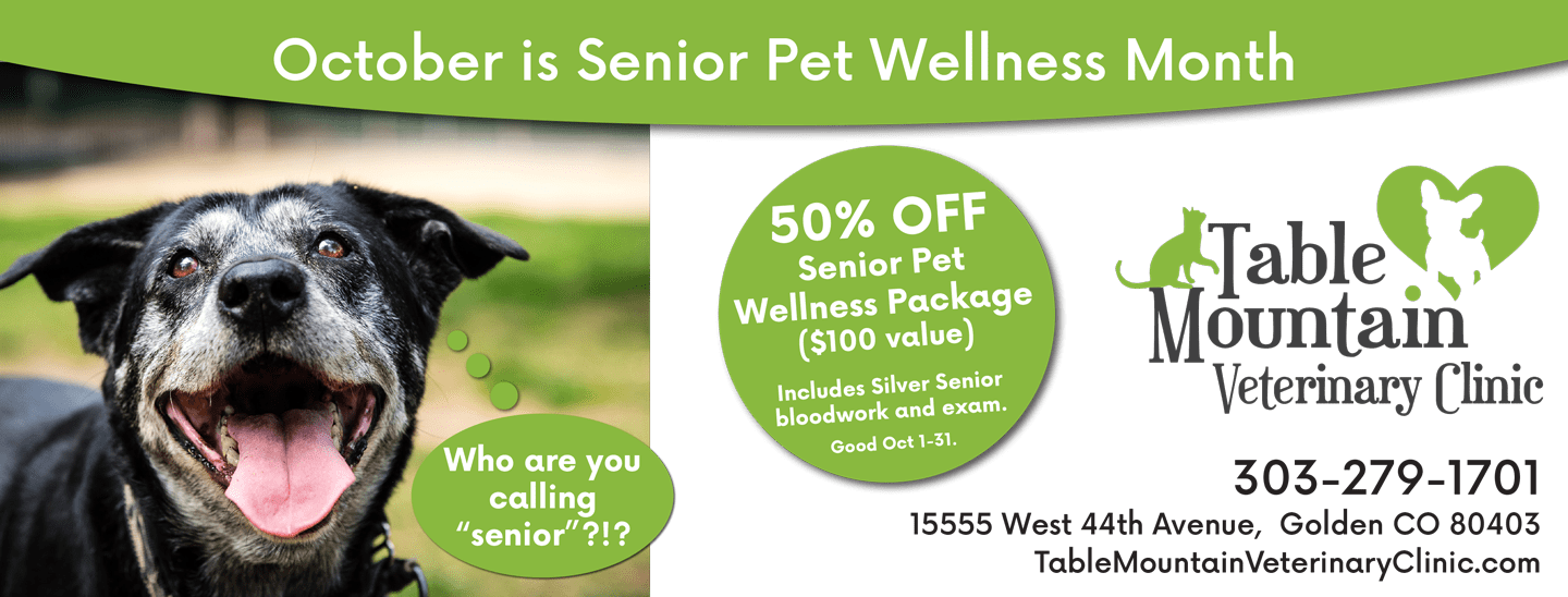 October healthy cat moth promotion at Table Mountain Veterinary Clinic