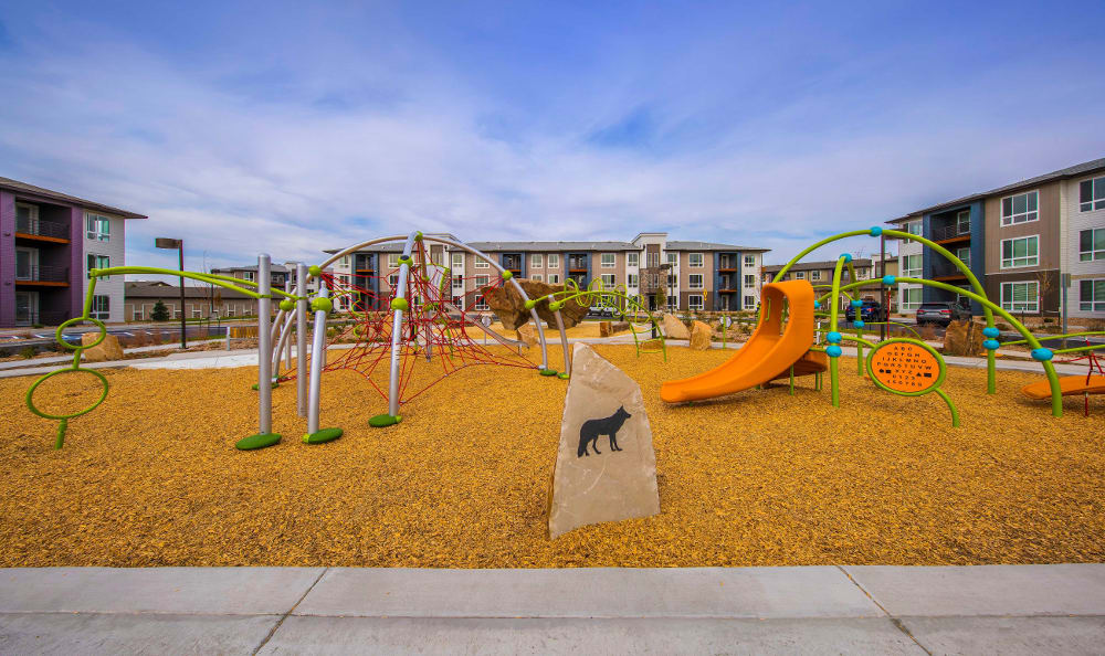 Photos Of Strata Apartments In Denver Colorado