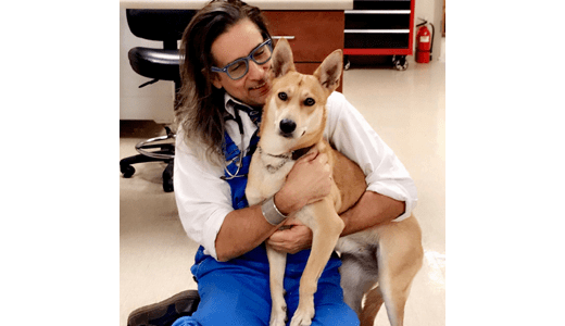 Dr. Restey at Coronado Veterinary Hospital