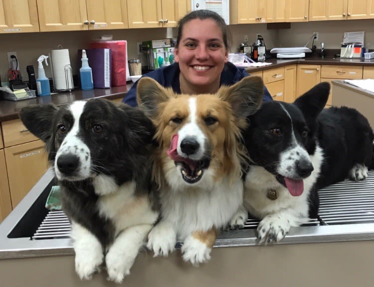 Chris Cox, Hospital Manager at Arroyo Grande Animal Hospital