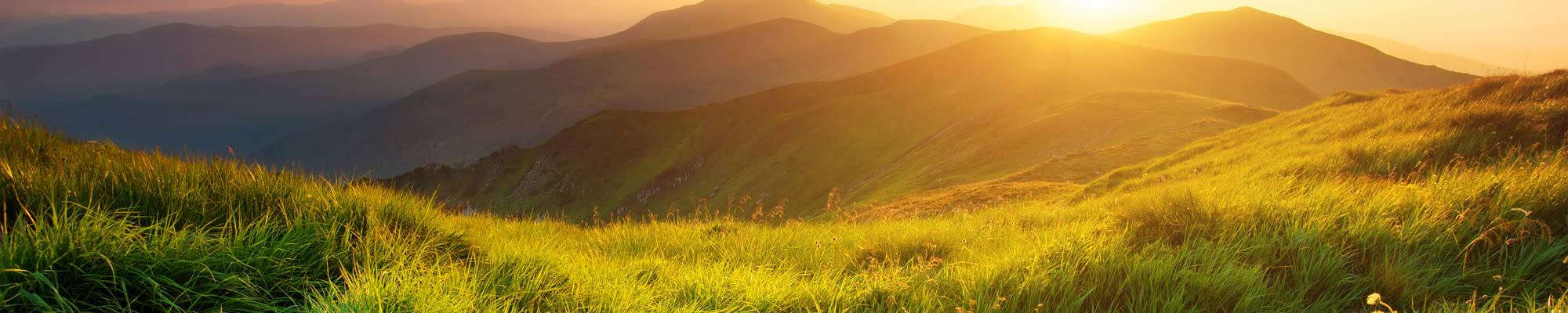Resources at MBK Senior Living in Irvine, California