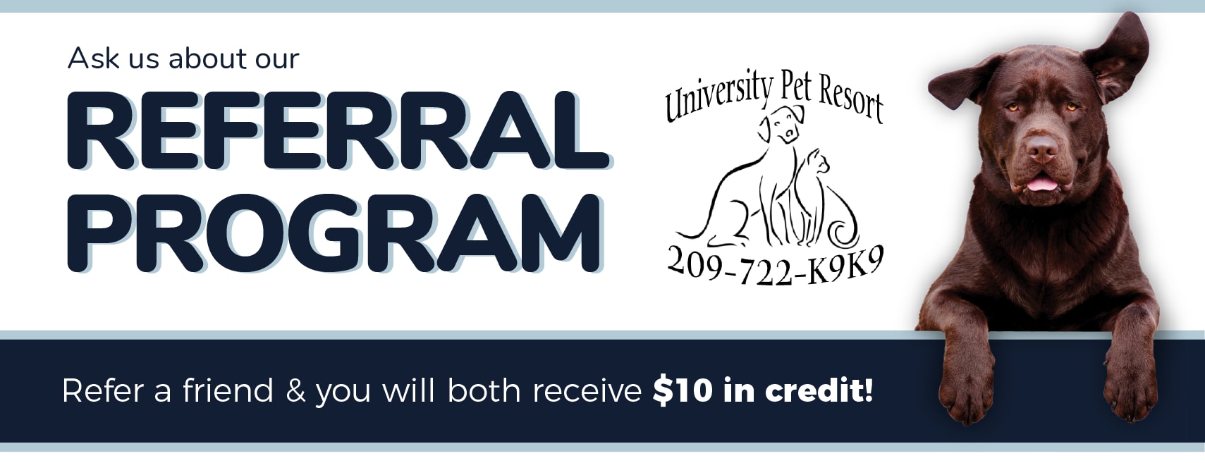 Referal program at University Pet Resort in Merced, California