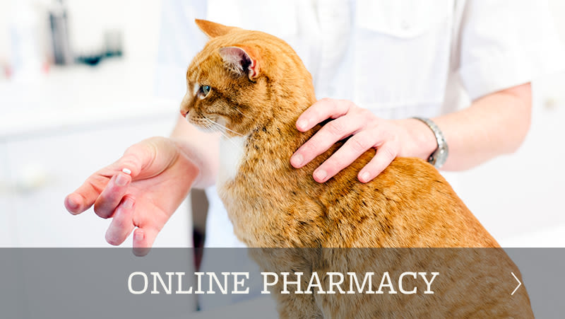 Online pharmacy at Willow Run Veterinary Clinic in Willow Street, Pennsylvania