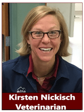 Dr. Kirsten Nickisch at animal hospital in Pocatello