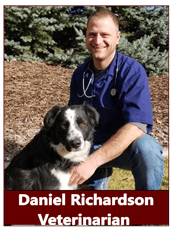 Dr. Daniel Richardson at animal hospital in Pocatello