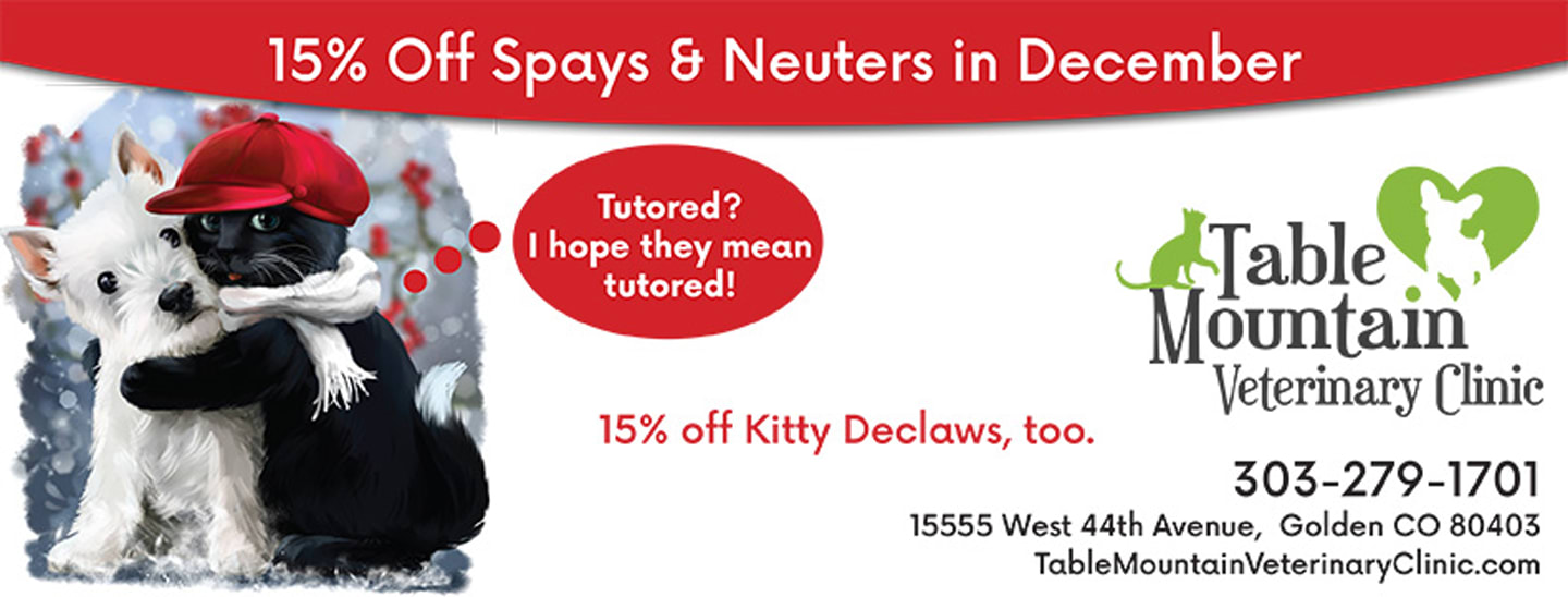 December promotion at Table Mountain Veterinary Clinic