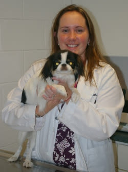 Jessica Latham at Willow Run Veterinary Clinic in Willow Street, Pennsylvania
