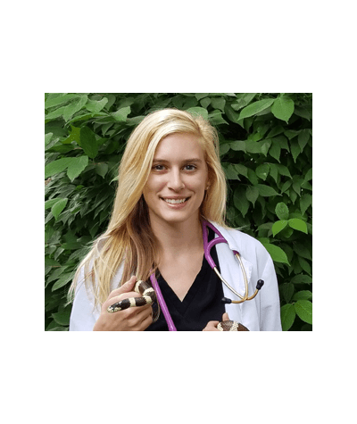 Our Skilled Veterinarians | The Ark Veterinary Clinic