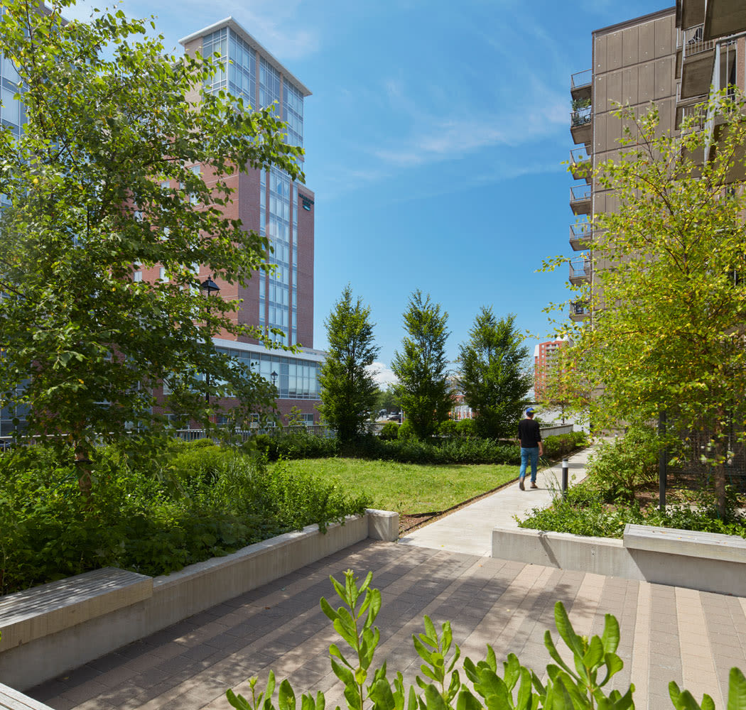 Lush landscaping and common areas at Halifax Apartments in Halifax