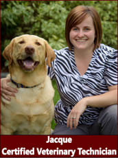 Certified technician Jacque and Pocatello in Alta Animal Hospital