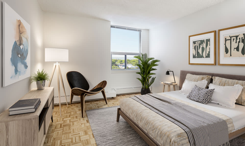 Halifax Ns Apartments For Rent Near Downtown Macdonald