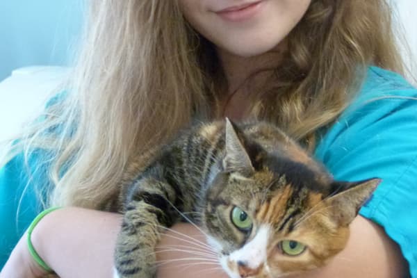 Treatment for your boarded pets at St. Simons Island Animal Hospital