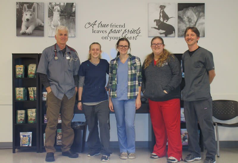 Our team at Shoreline Central Animal Hospital
