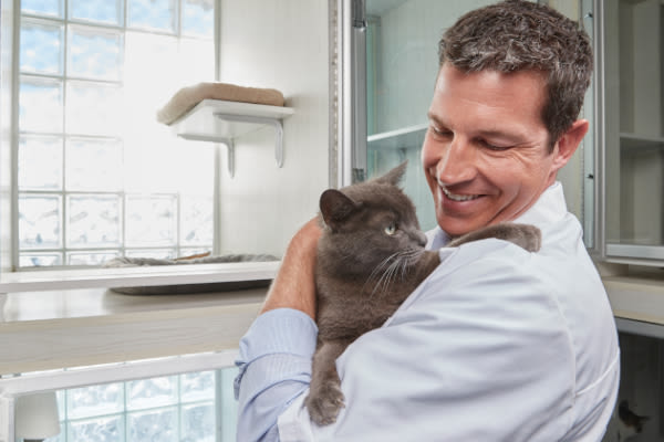 NVA vet holding a cat