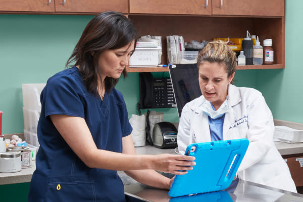 NVA vet techs discussing results