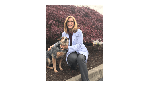 Dr. Lisa at Augusta Valley Animal Hospital in Staunton