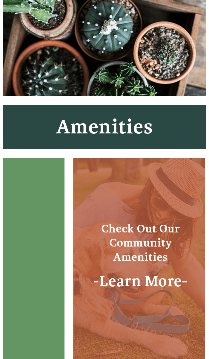 North Grand Prairie, TX Apartments for Rent The Belmont