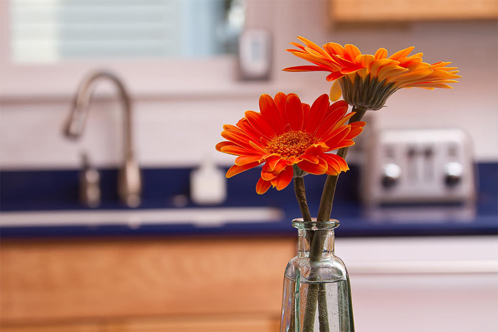 Enjoy apartments with a kitchen at 520 East Ave