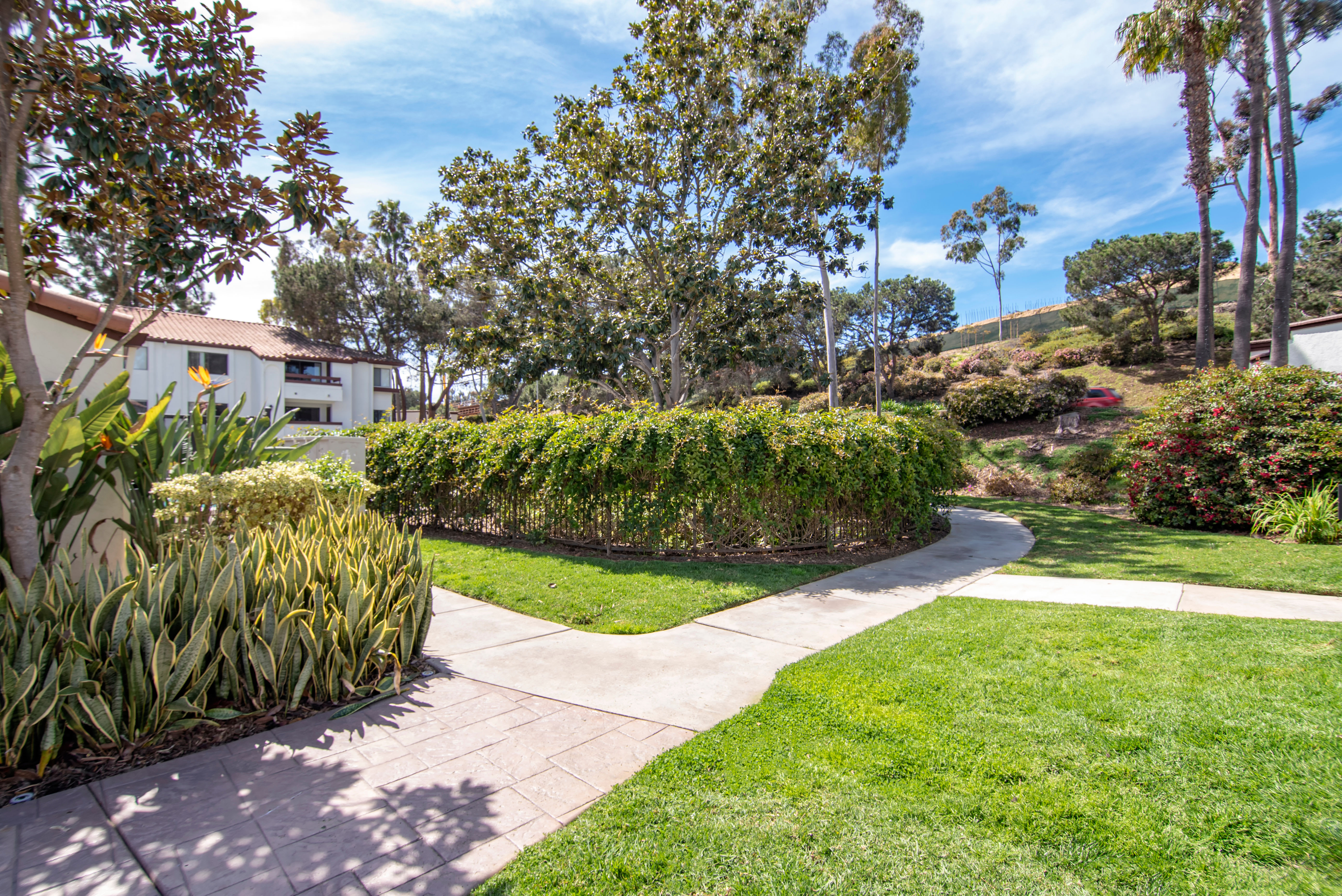 Our apartments in San Diego are pet friendly