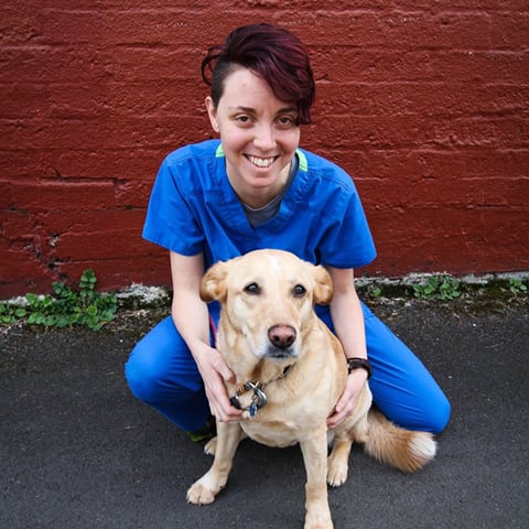 Lauren of Pet Samaritan Clinic