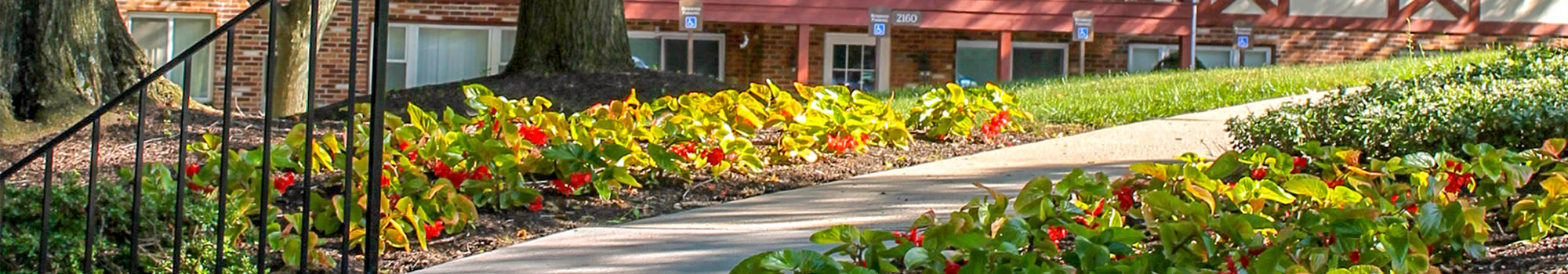 King's Manor Apartments welcomes pets