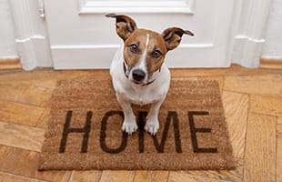 Pet necessities are close by at Park Guilderland Apartments