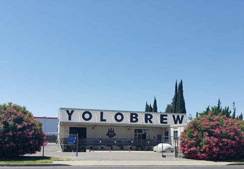 YOLO Brewing Company
