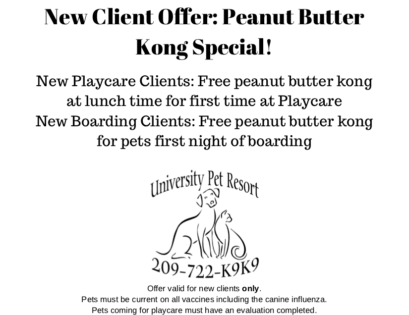 University Pet Resort
