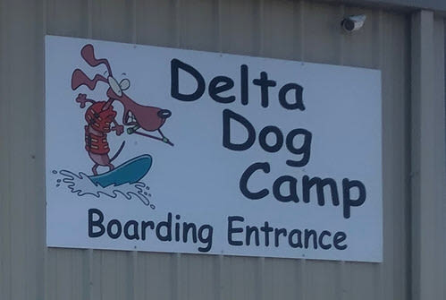Delta Dog Camp Oakley California