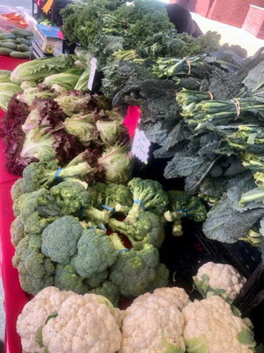 Broccoli Oakley CA