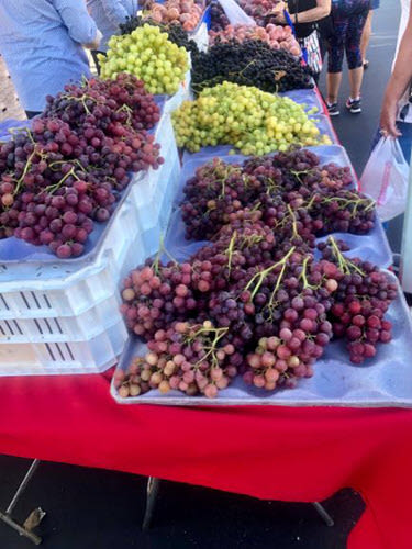 Grapes Oakley CA