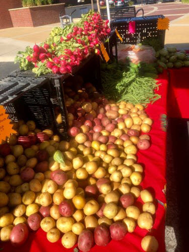 Potatoes Oakley CA