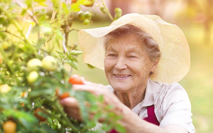 A resident gardening at Anchor Bay at Pocasset in Johnston, Rhode Island.