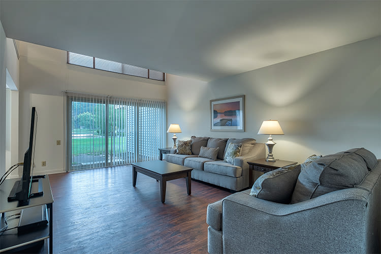 Our apartments in Painted Post, New York showcase a luxury living room