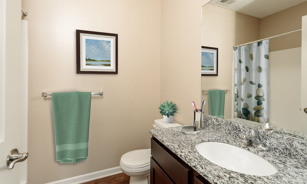 Photos of Canal Crossing Apartments in Camillus, NY