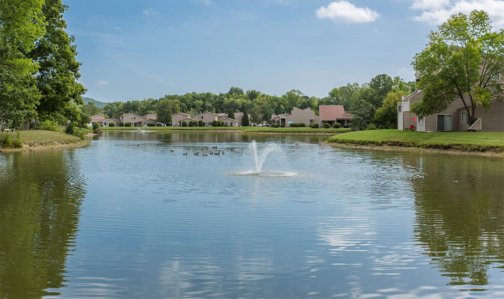 Photos of Emerald Springs Apartments in Painted Post, NY