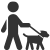 Person walking a dog icon