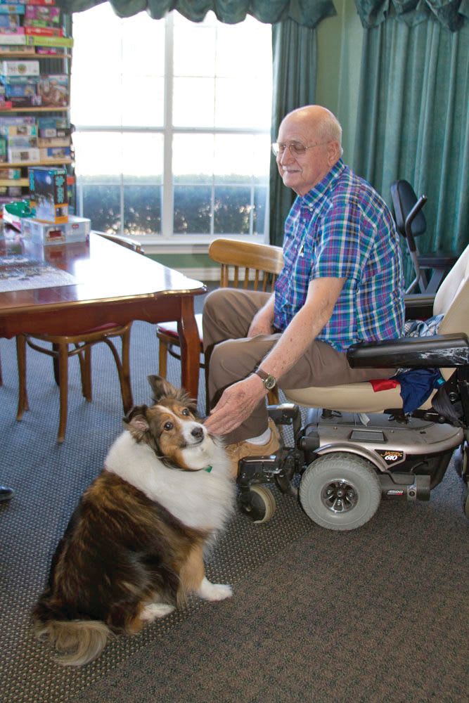 Resident petting a dog at Quail Park of Granbury in Granbury, Texas