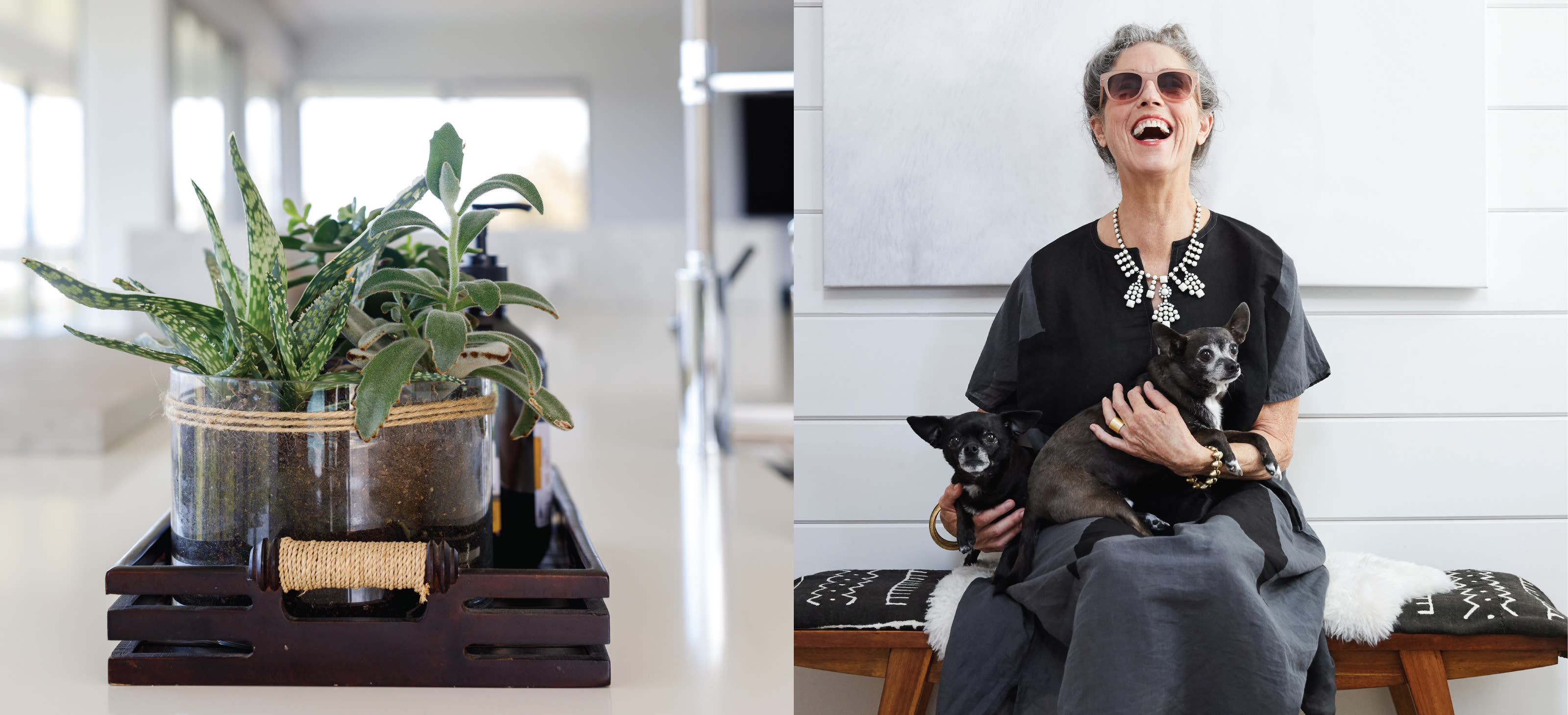 plants | woman with dogs at our pet-friendly apartments in Illinois