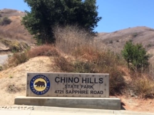 Top 10 Fun Things to do in Chino Valley