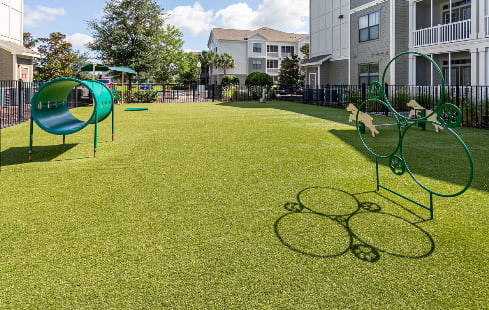 Pet Friendly Apartments In Jacksonville Fl Terraces At Town Center