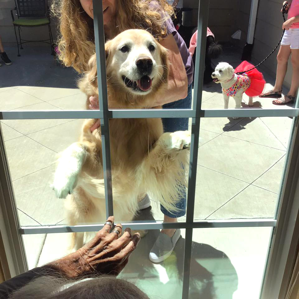 Resident interacting with a golden retriever at Oxford Glen Memory Care at Owasso in Owasso, Oklahoma