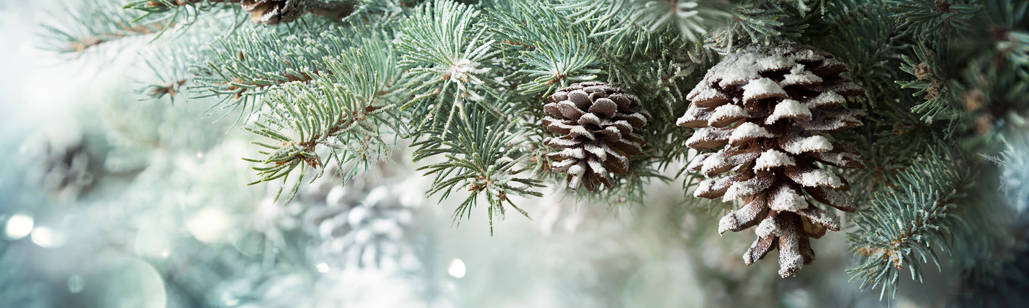 Events at Royalton Woods in North Royalton, Ohio