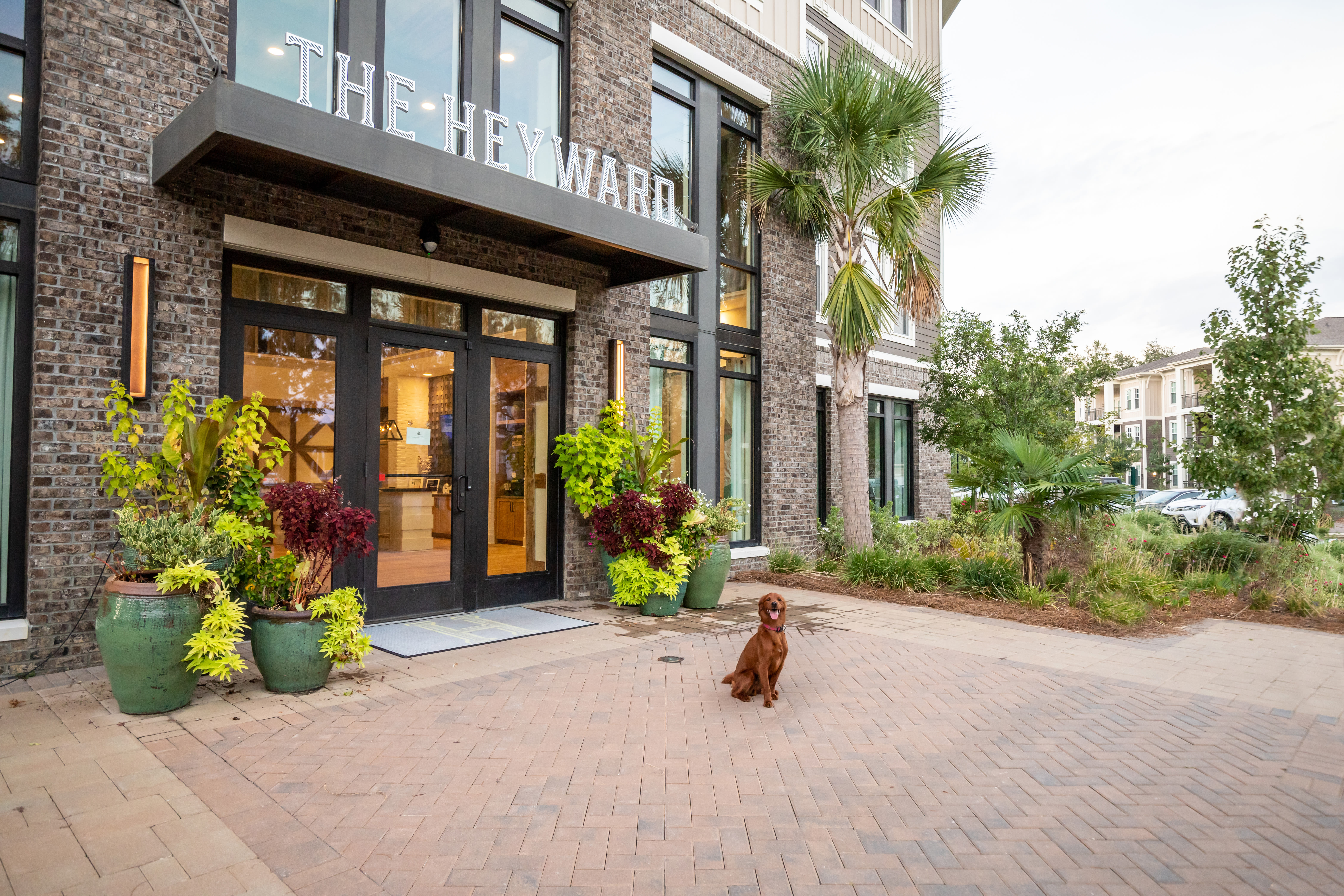 Exterior at The Heyward in Charleston, South Carolina