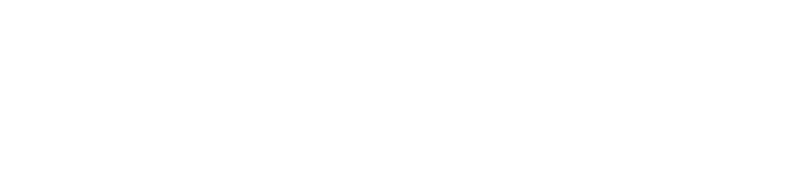 E&S Ring Management Logo