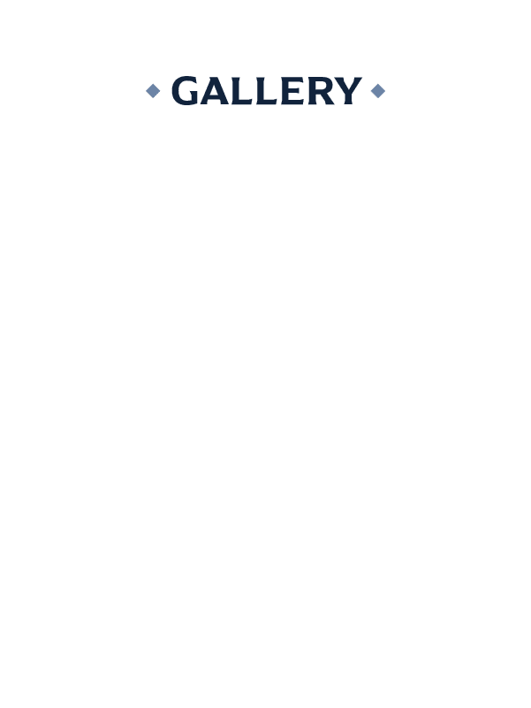 gallery graphic