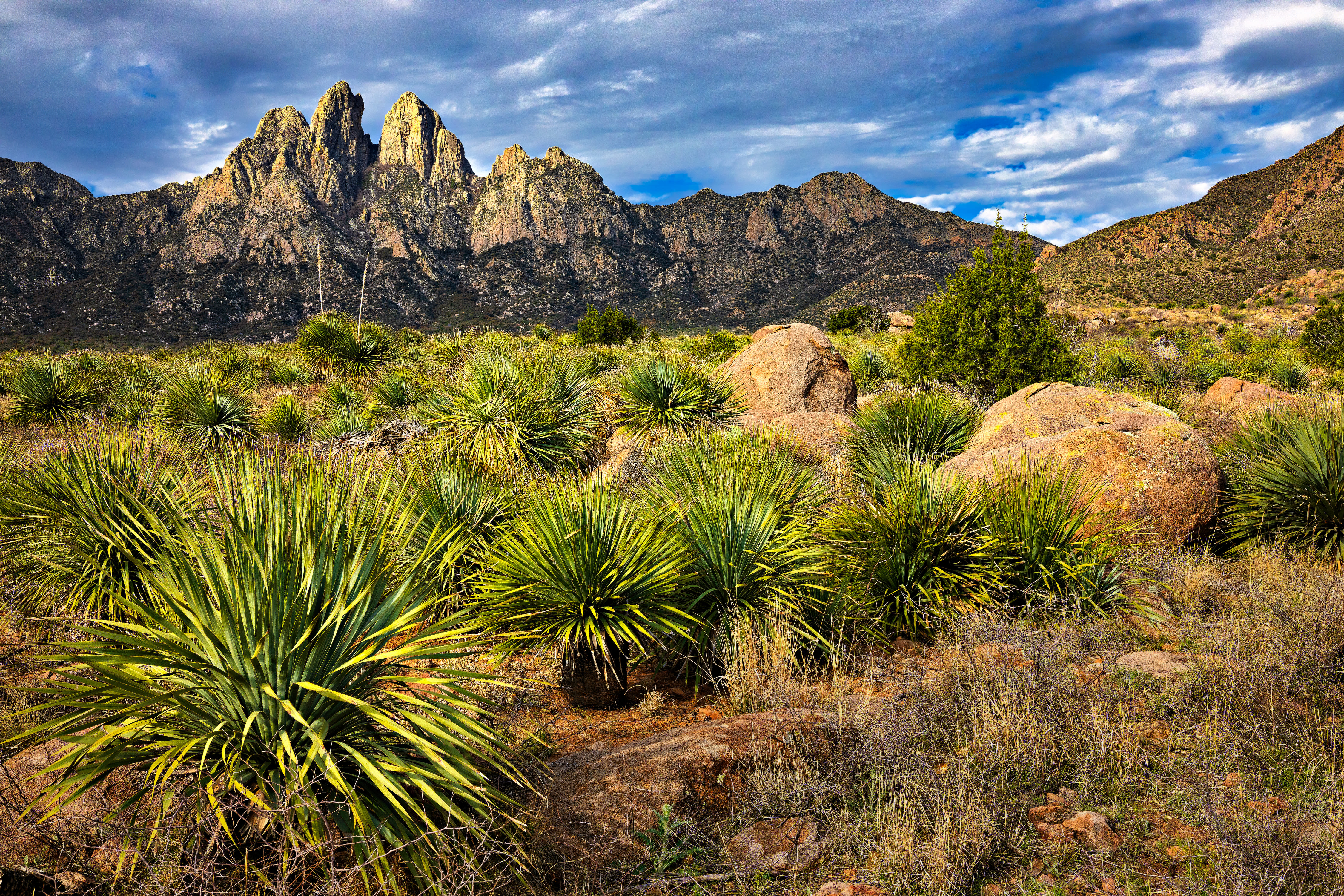 Contact Las Cruces, NM senior living