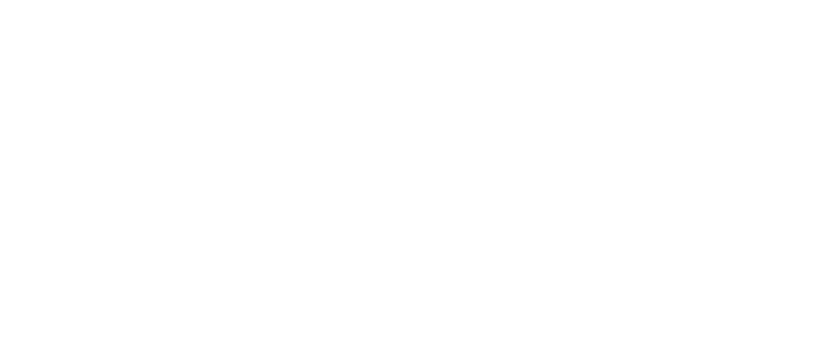 21st Century Storage white logo