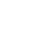V logo for Virginia Varsity Storage in Roanoke, Virginia